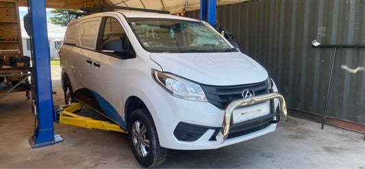 LDV G10 2019